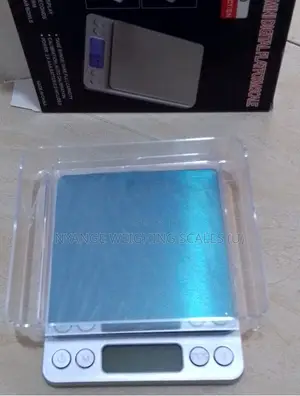 High Accuracy Weigh Scale Mini Weighing Scale 500g/0.01g Weighing (9)