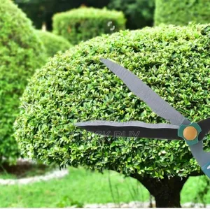 Stainless Steel Medium-sized Garden Scissors