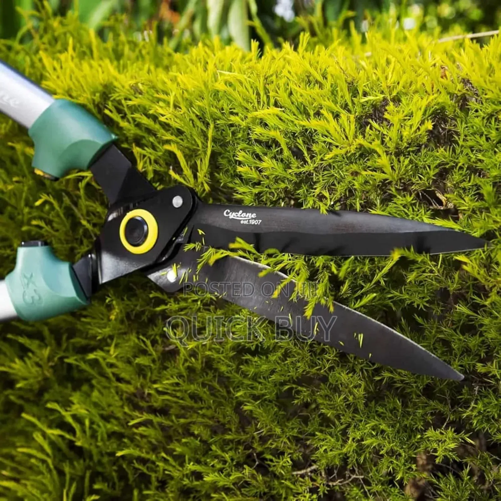 Stainless Steel Medium-sized Garden Scissors