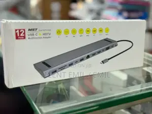 Type-C Hub/Type-C Work Station 12 in 1