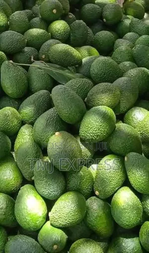 Hass Ovacado Per Kg