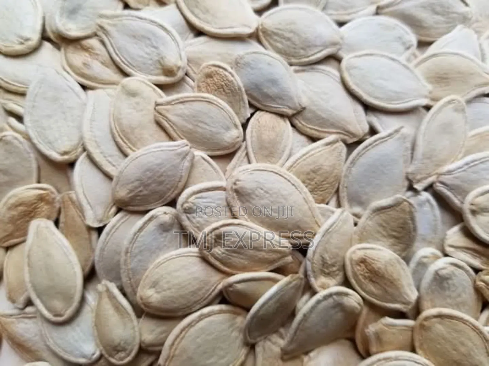 Pumpkin Seeds Per Kilogram