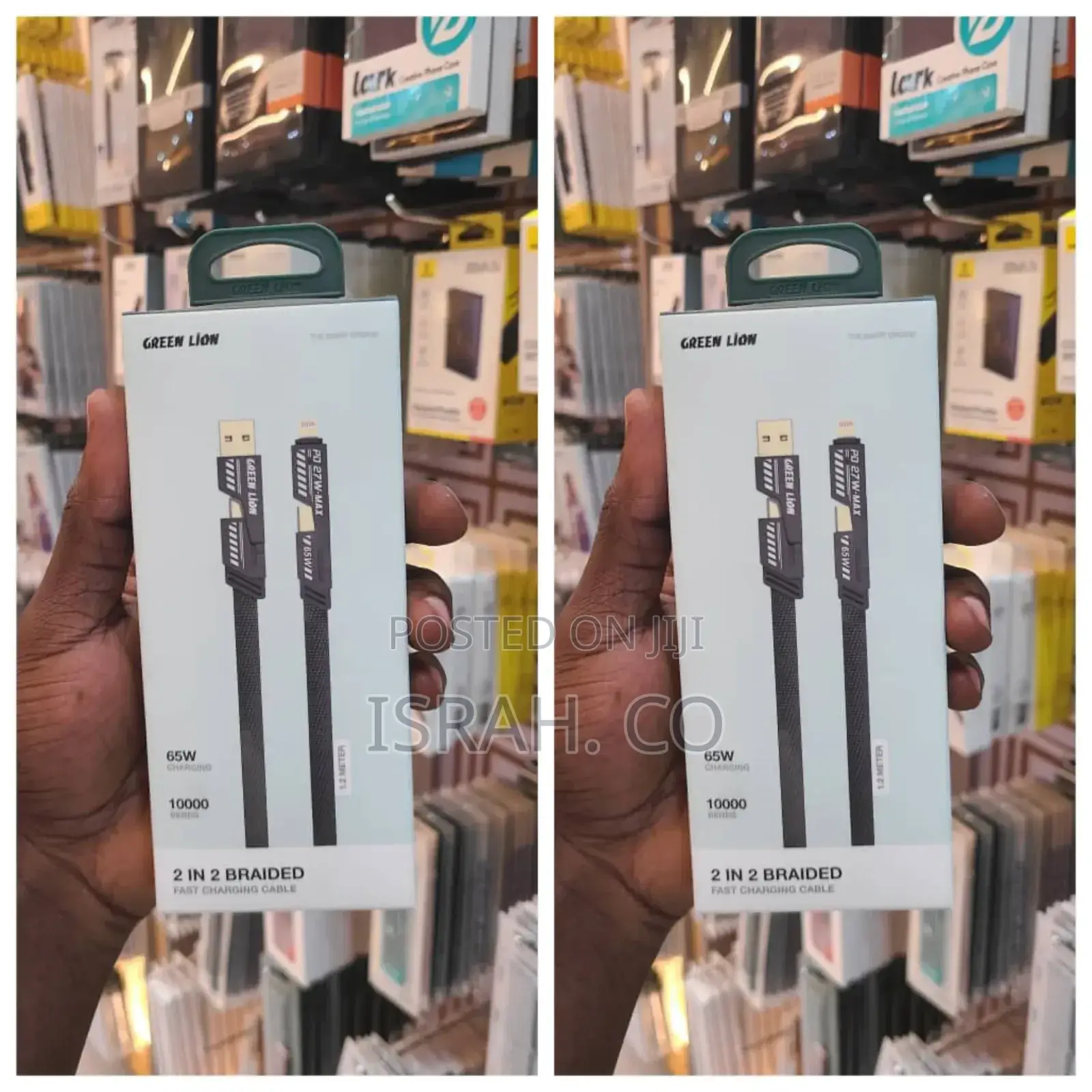 Green Lion 2 in 2 Braided Fast Charging Cable
