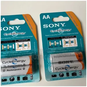 Aa Sony Cycle Energy Battery