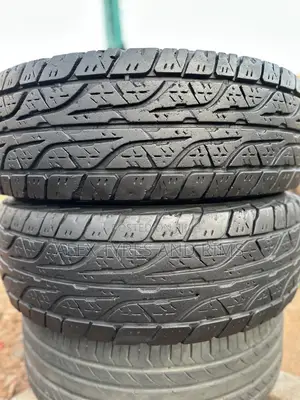 285/75r16 Dunlop Tyres