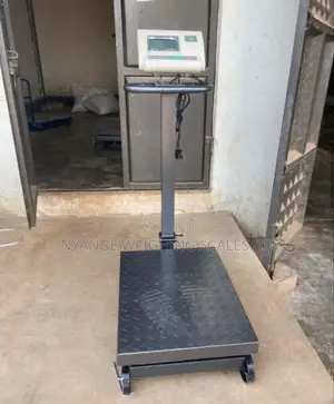 500kg Weigh Rolling Weighing Scale Platform Digital Weighing Scale.