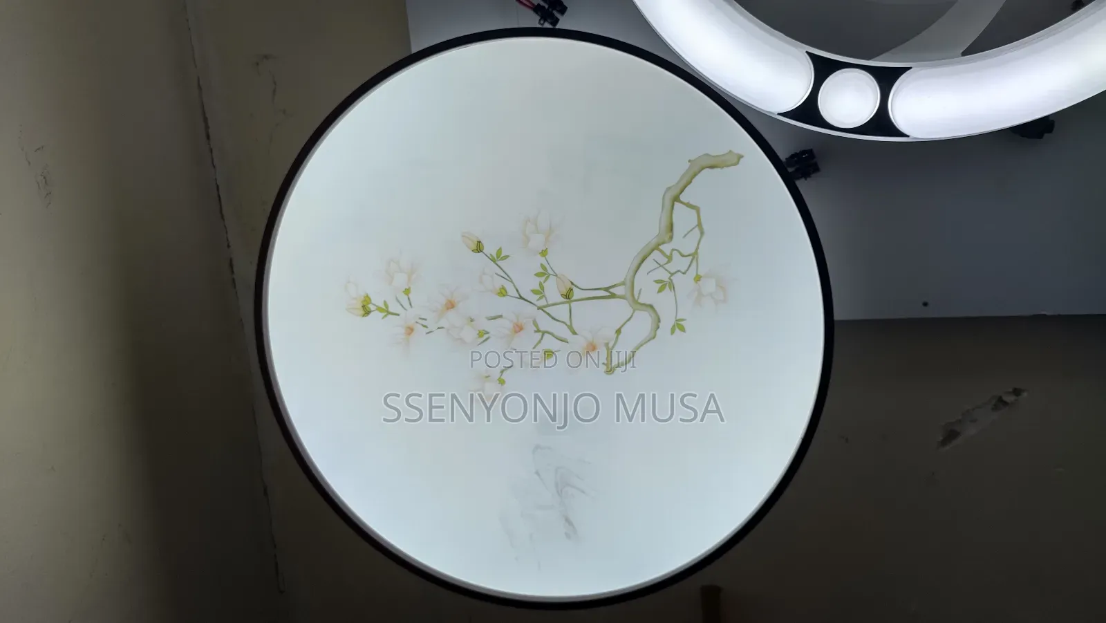 Modern Dining Room Creative Round Wall Lamp Painting -15w