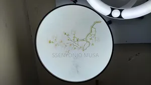 Modern Dining Room Creative Round Wall Lamp Painting -15w