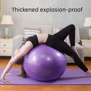 Professional Training Gym Ball