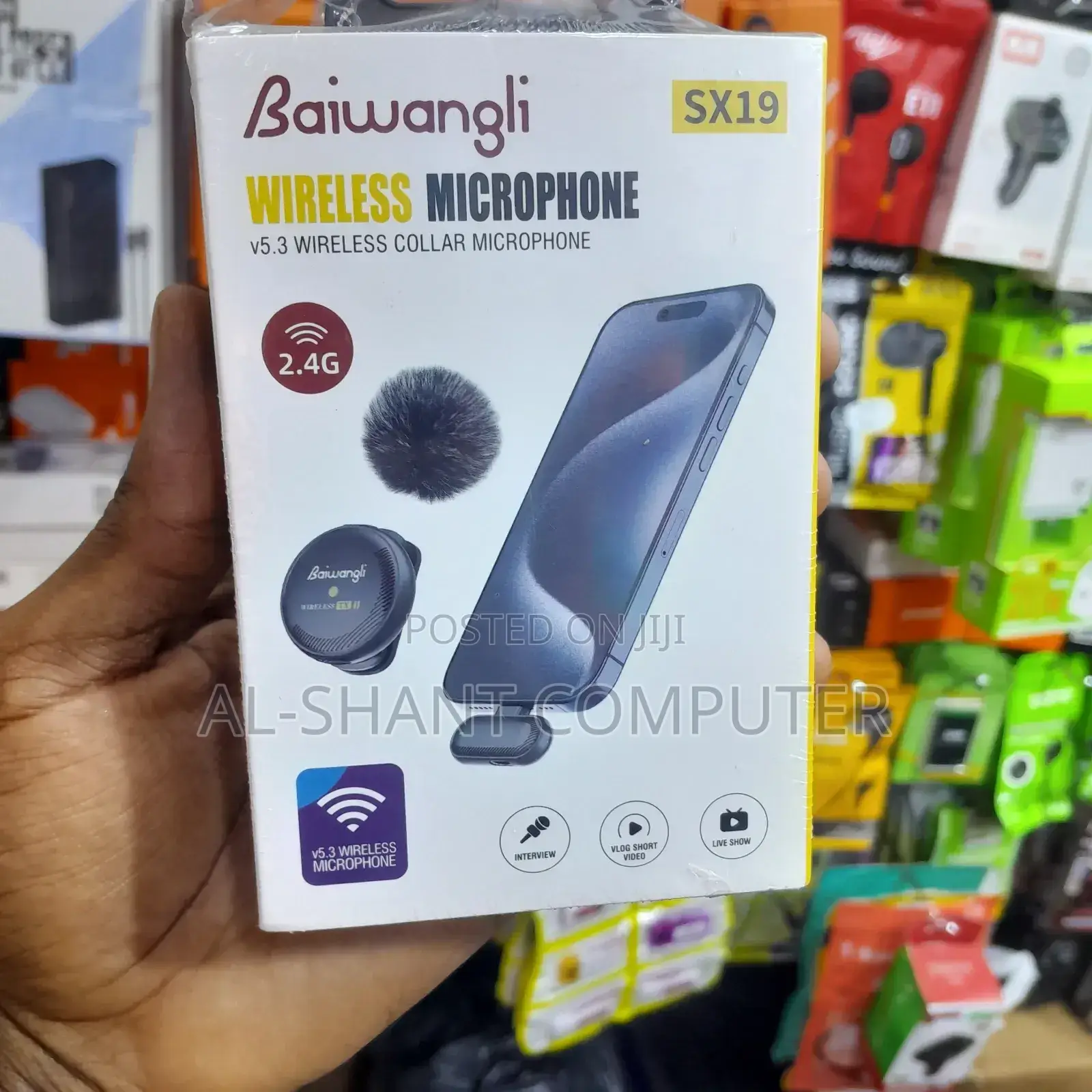 Baiwangli Sx19 Wireless Microphone/Wireless Microphone