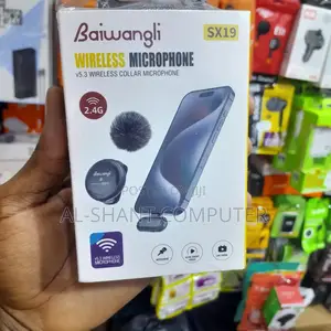 Baiwangli Sx19 Wireless Microphone/Wireless Microphone