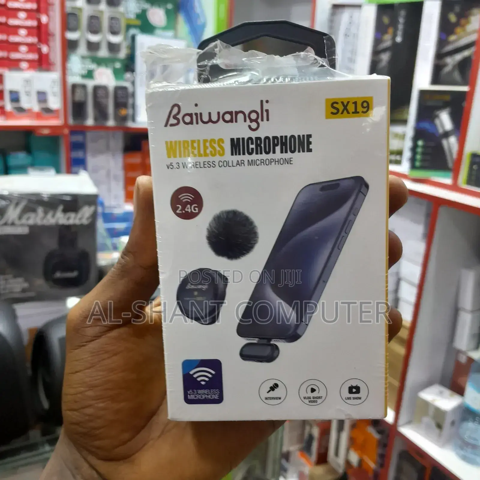 Baiwangli Sx19 Wireless Microphone/Wireless Microphone
