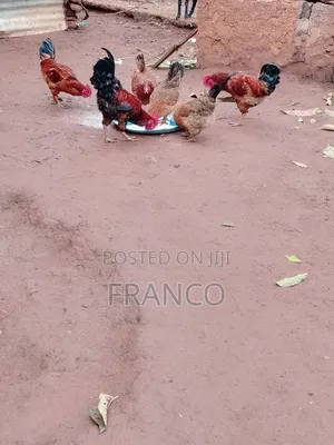 Pure Local