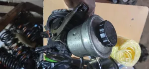 Ipsum, Nadia, Gaia Steering Pump