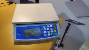 Price Computing Electric Weighing Scale 30kg Electric Scale