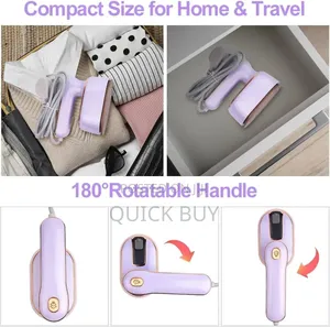1000w Mini Steam Iron