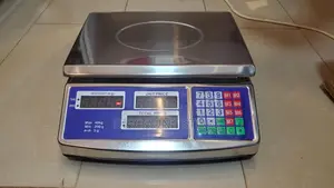 Waterproof Electric Weighing Scale 40kg Electric Scale
