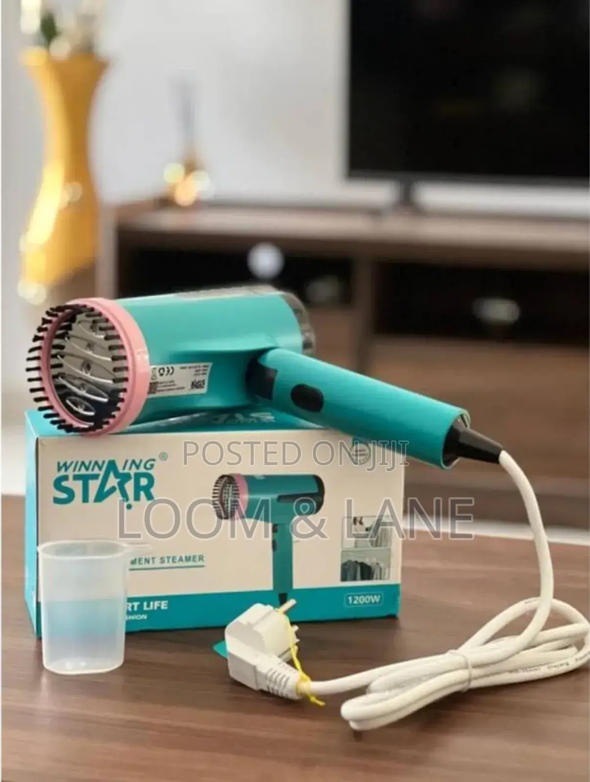 Winning Star Handheld Garment Steamer St-5311