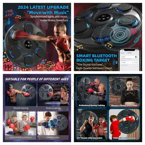 MDHL Boxing Training Machine With Music