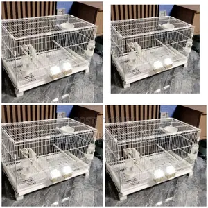 Cage With Stands