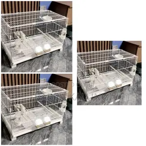 Cage With Stands
