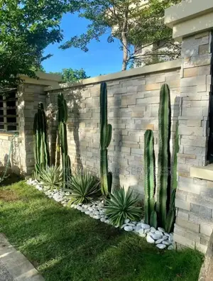 Desert Gardens