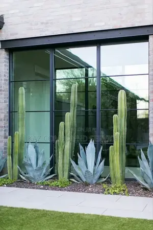 Desert Gardens