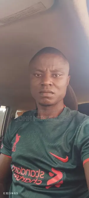 Looking CV for Driving Permit