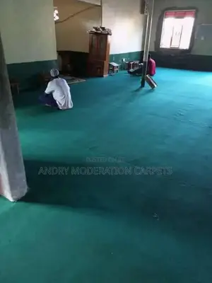 Green Wall to Wall Woolen Carpets