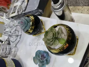 Ceramic Flower Pot