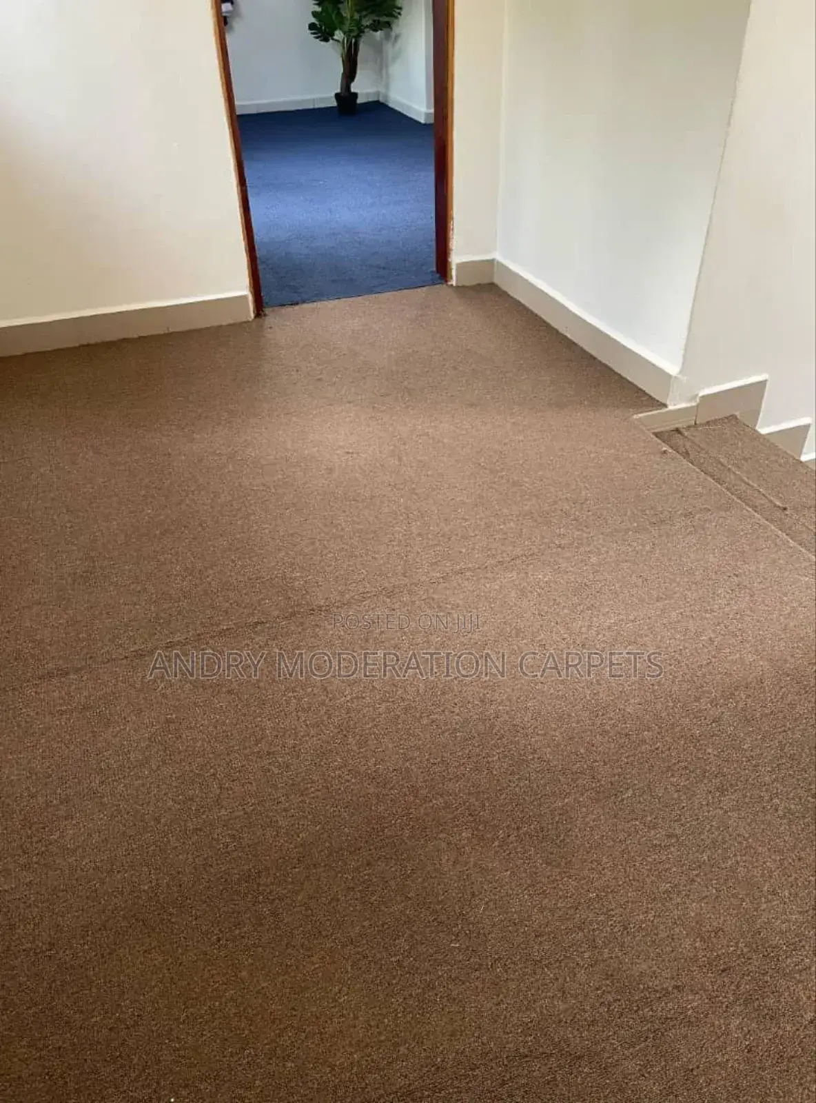 Brown Wall to Wall Woolen Carpets