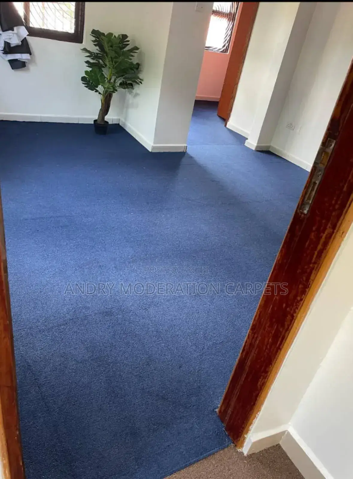 Blue Woolen Carpets