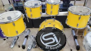 Professional Drum Set, Acoustic Drum Set,