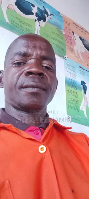 Cashiers to Work in Nsangi