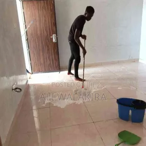 Professional House Cleaning