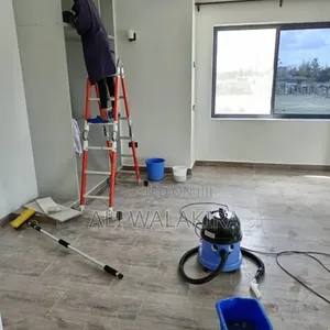 Professional House Cleaning