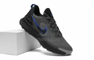 Original Gray/Black Nike Zoom Pegasus Running Sneakers