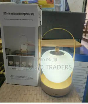 Rechargeable Dimming Art Desk Lamp
