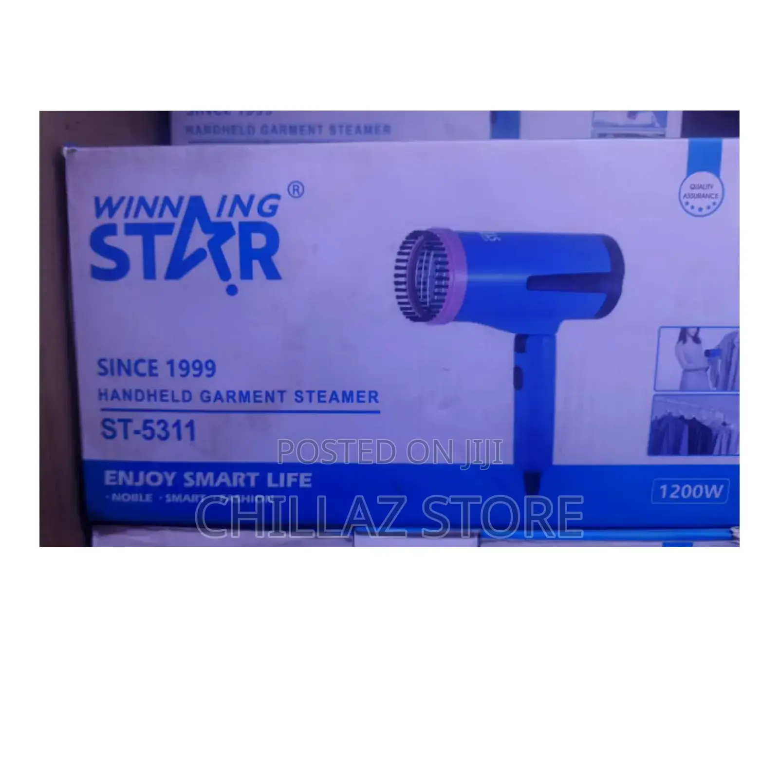 Winning Star Handheld Garment Steamer.