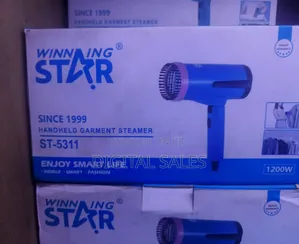 Winning Star Handheld Garment Steamer