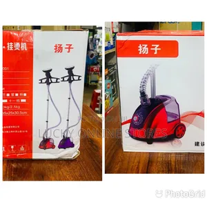 Multifunctional Garment Steamer