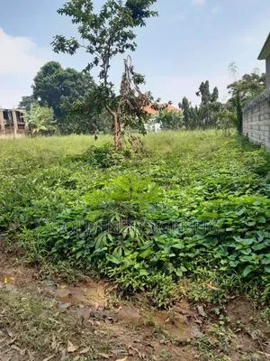 Plots of Land in Muyenga Bukasa on Quick Sale