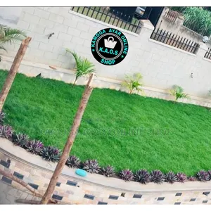 Paspalum Grass /Natural Compound Grass Carpet