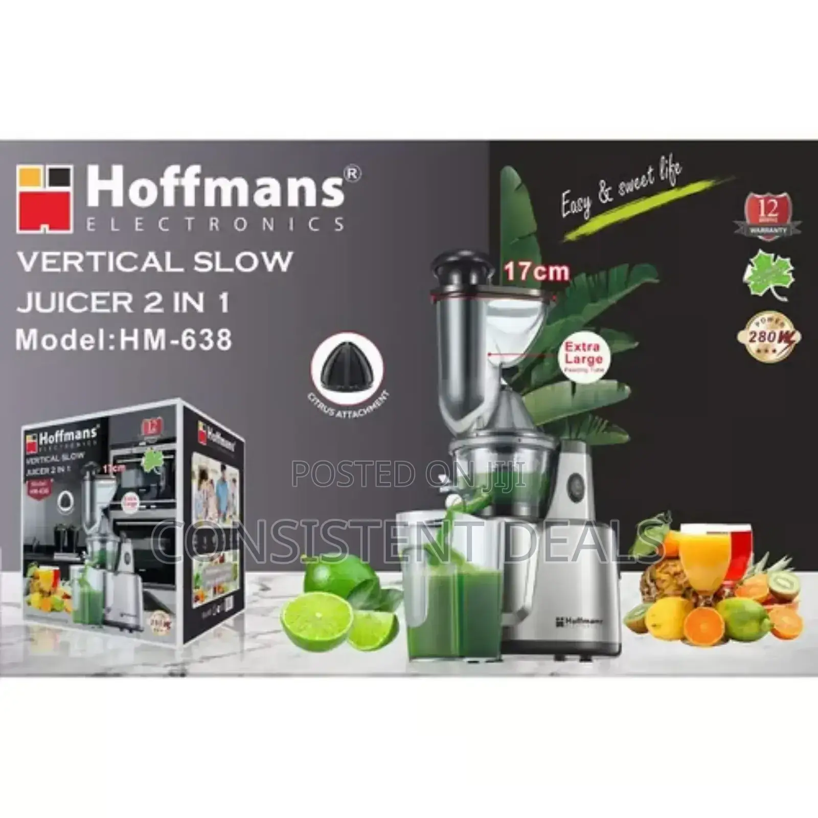 Hoffman Vertical Slow Juicer