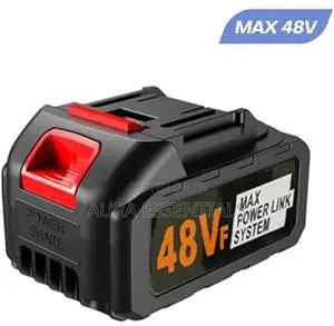 48v Replacement Rechargeable Battery for Car Washer