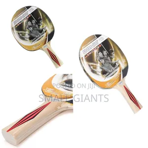 Donic Top Team 300 Table Tennis Bat