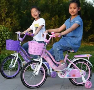 Girls' Bicycles Pink and Purple