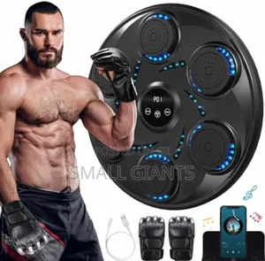MDHL Boxing Training Machine With Music