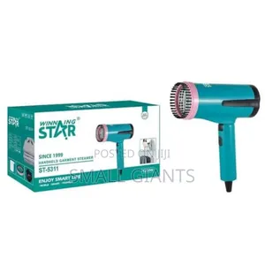 Winning Star Handheld Garment Steamer St-5311