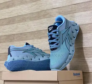 Original Reebok Classic Zig Dynamica Sneakers
